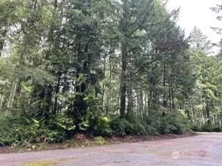 Property photo for 11307 114th Street Ct, Anderson Island