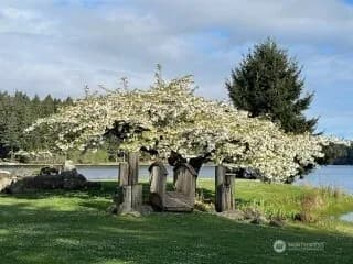 Property photo for 11307 114th Street Ct, Anderson Island photo 6