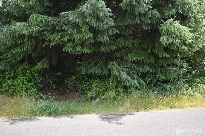 Property photo for 672 Island Circle Se, Ocean Shores photo 10