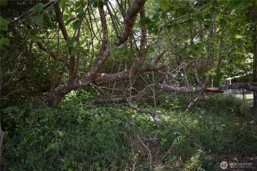 Property photo for 672 Island Circle Se, Ocean Shores photo 8