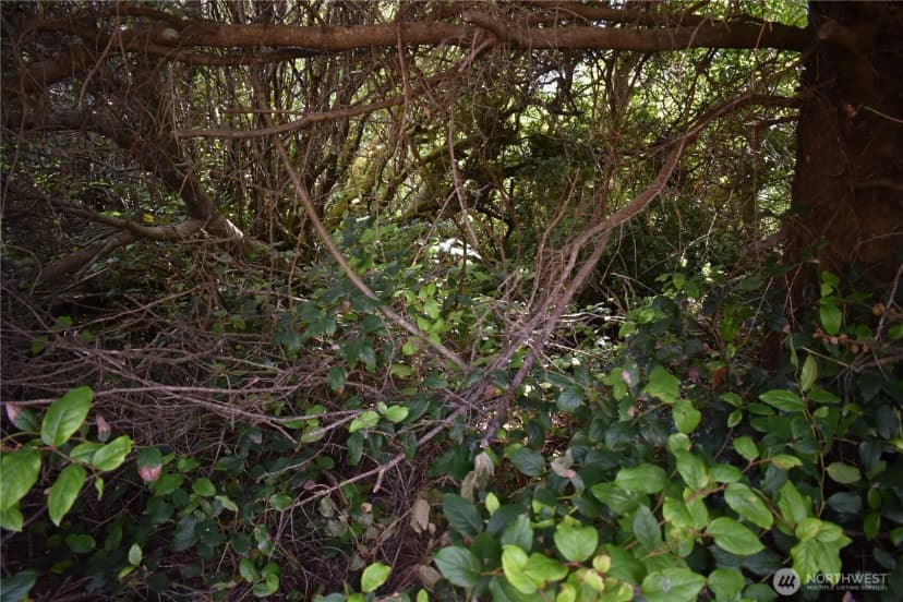 Property photo for 672 Island Circle Se, Ocean Shores photo 6