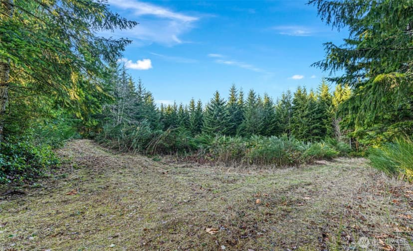 Property photo for 45 Whiteman Road Sw, Lakebay photo 7