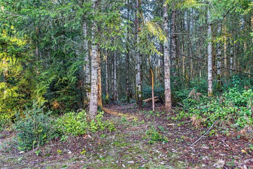 Property photo for 45 Whiteman Road Sw, Lakebay photo 10