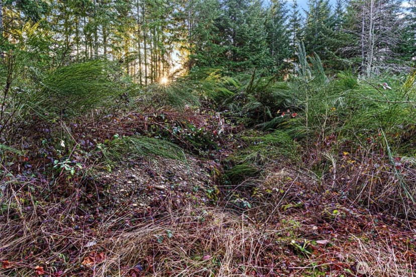 Property photo for 45 Whiteman Road Sw, Lakebay photo 9