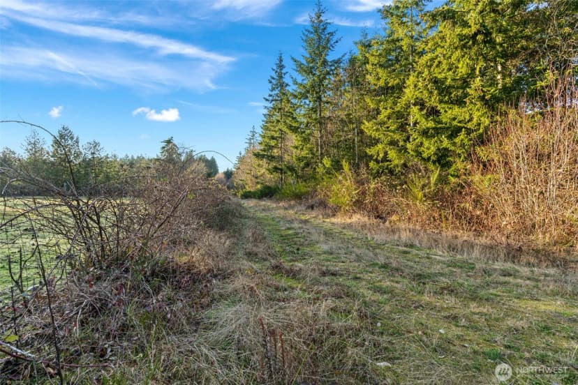 Property photo for 45 Whiteman Road Sw, Lakebay photo 8