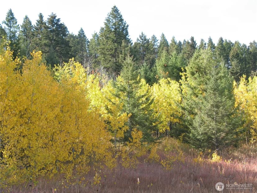 Property photo for 40 E Turner Homestead Road, Oroville photo 14