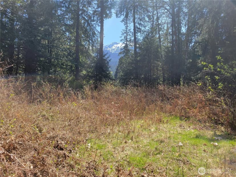 Property photo for 0 Xxx Mtn Loop Highway, Granite Falls photo 6