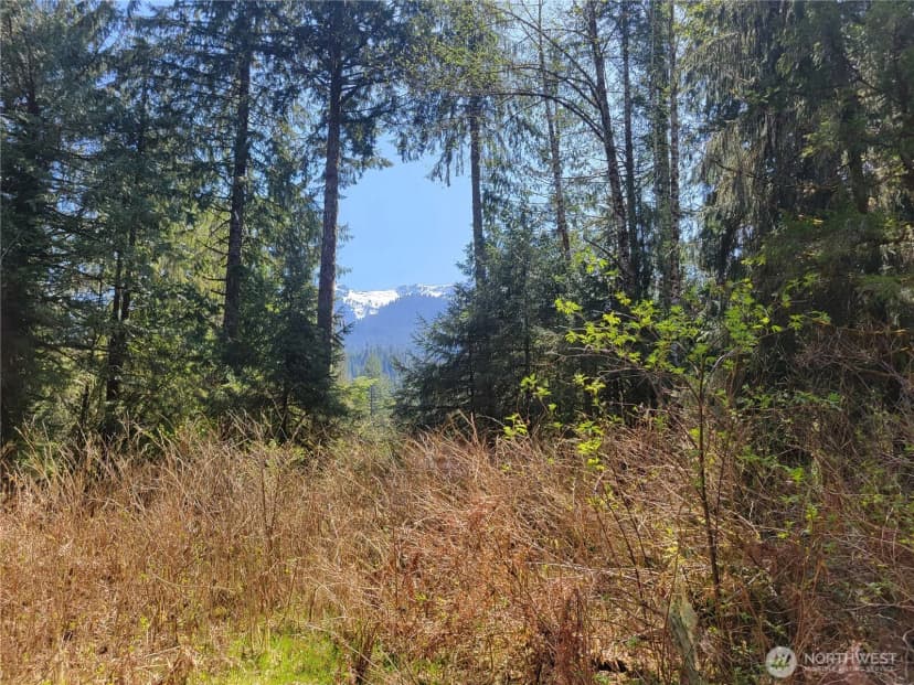Property photo for 0 Xxx Mtn Loop Highway, Granite Falls