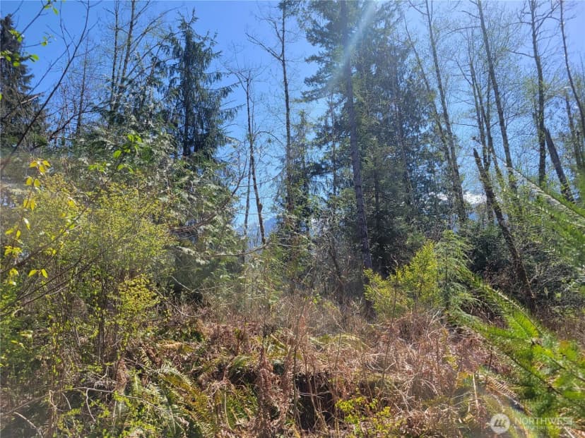 Property photo for 0 Xxx Mtn Loop Highway, Granite Falls photo 10