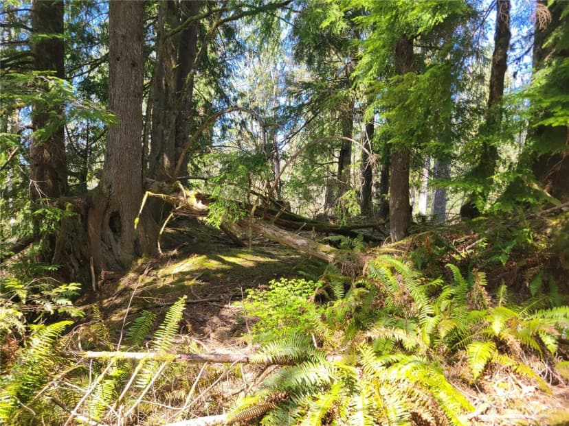 Property photo for 0 Xxx Mtn Loop Highway, Granite Falls photo 12