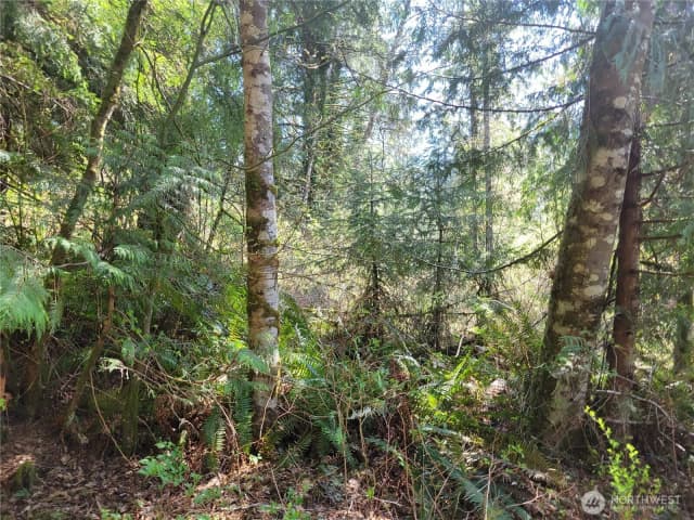 Property photo for 0 Xxx Mtn Loop Highway, Granite Falls photo 4