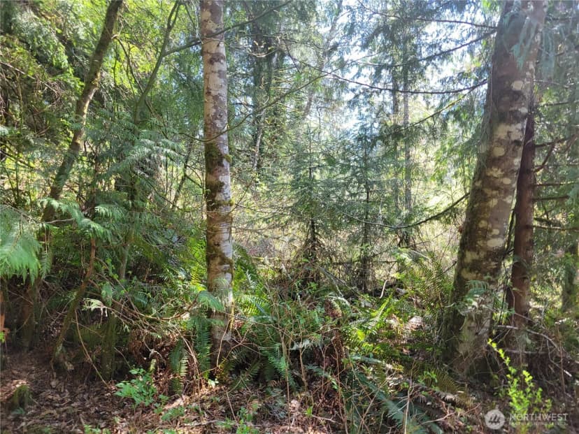 Property photo for 0 Xxx Mtn Loop Highway, Granite Falls photo 4
