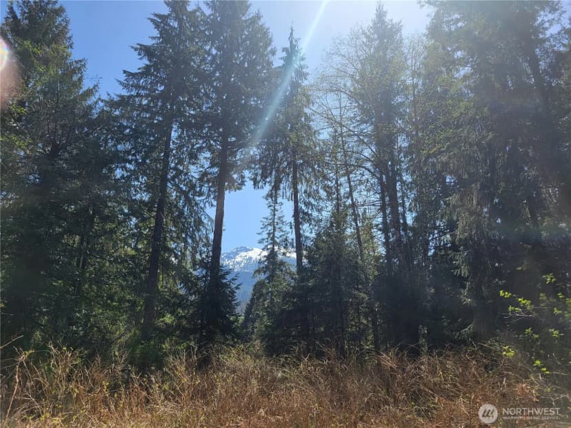 Property photo for 0 Xxx Mtn Loop Highway, Granite Falls photo 9