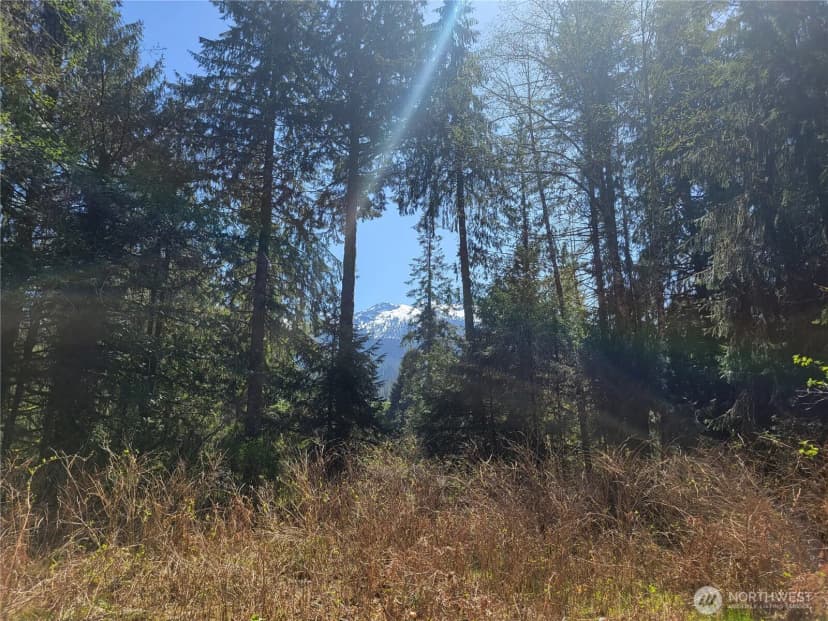 Property photo for 0 Xxx Mtn Loop Highway, Granite Falls photo 8