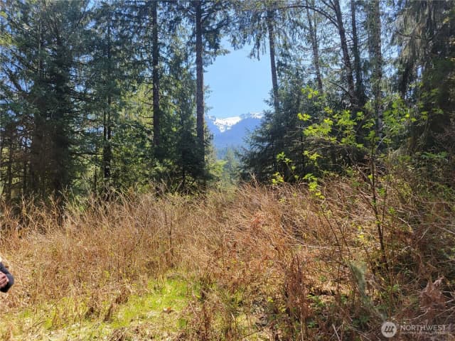Property photo for 0 Xxx Mtn Loop Highway, Granite Falls photo 2