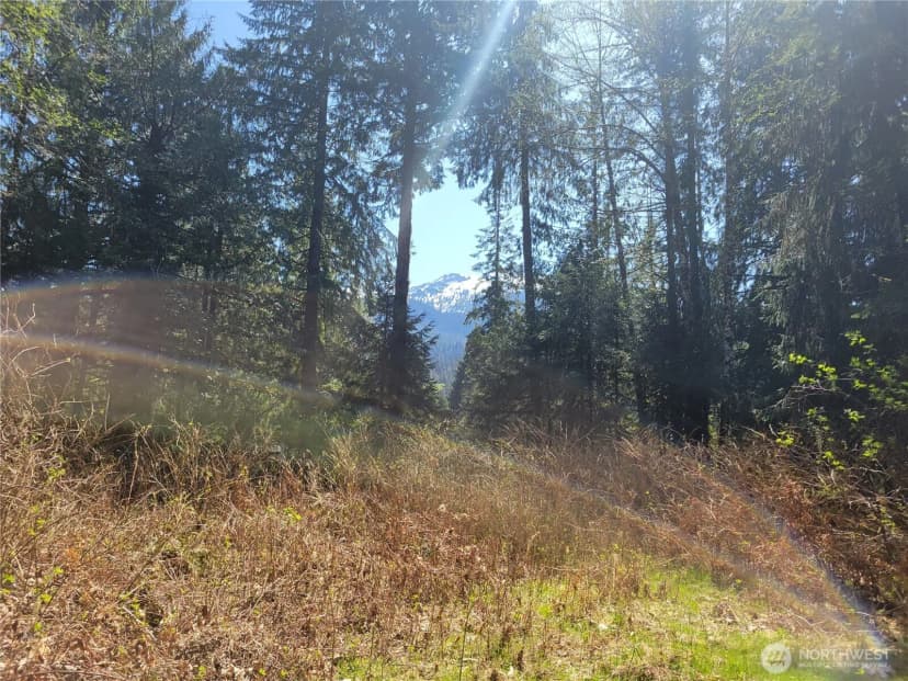 Property photo for 0 Xxx Mtn Loop Highway, Granite Falls photo 7