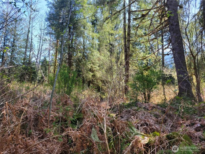 Property photo for 0 Xxx Mtn Loop Highway, Granite Falls photo 11