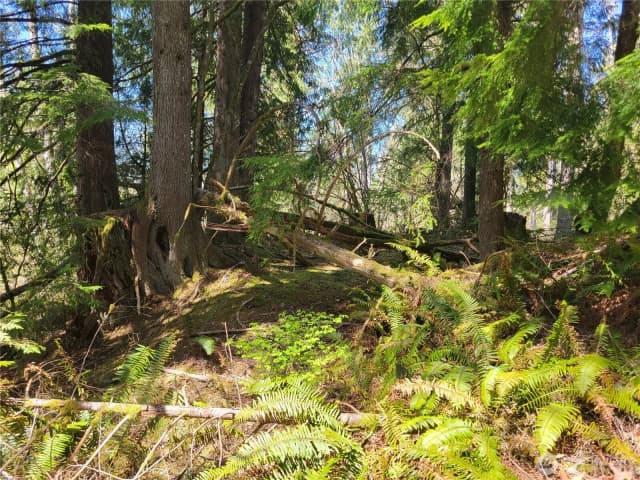 Property photo for 0 Xxx Mtn Loop Highway, Granite Falls photo 3