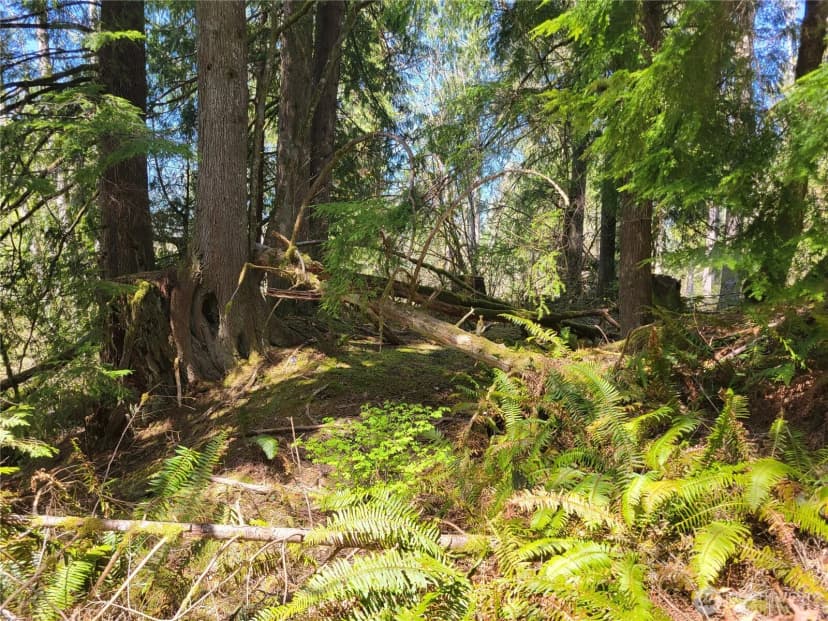 Property photo for 0 Xxx Mtn Loop Highway, Granite Falls photo 3