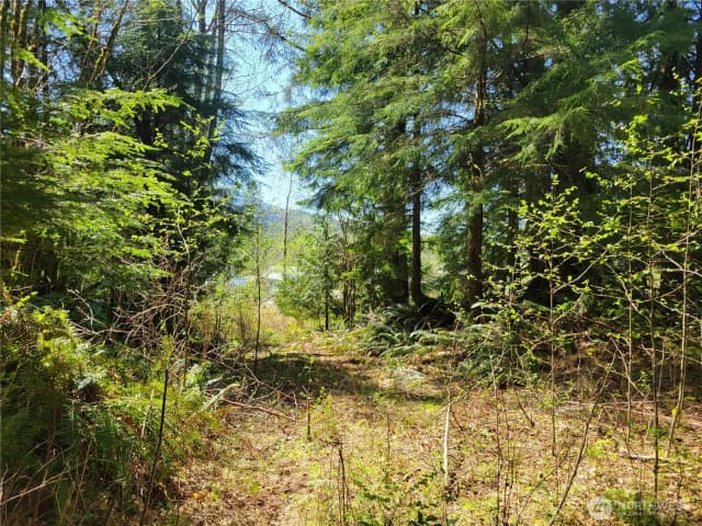 Property photo for 0 Xxx Mtn Loop Highway, Granite Falls photo 5
