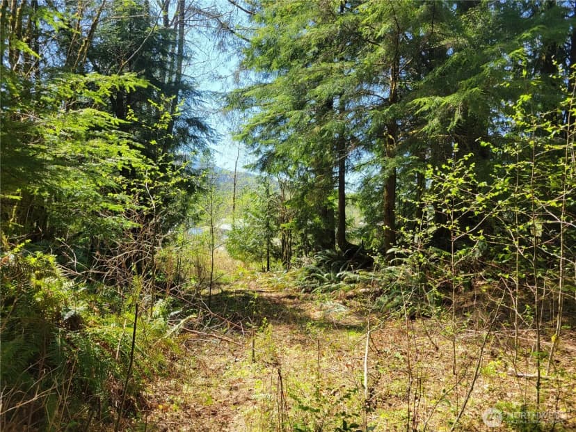 Property photo for 0 Xxx Mtn Loop Highway, Granite Falls photo 5