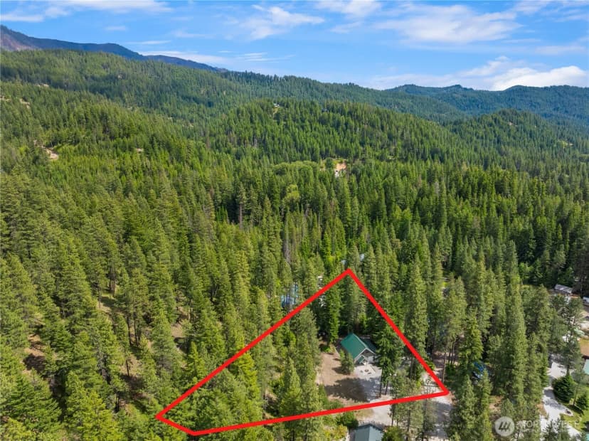 Property photo for 21005 Lower Chiwawa River Road, Leavenworth photo 31