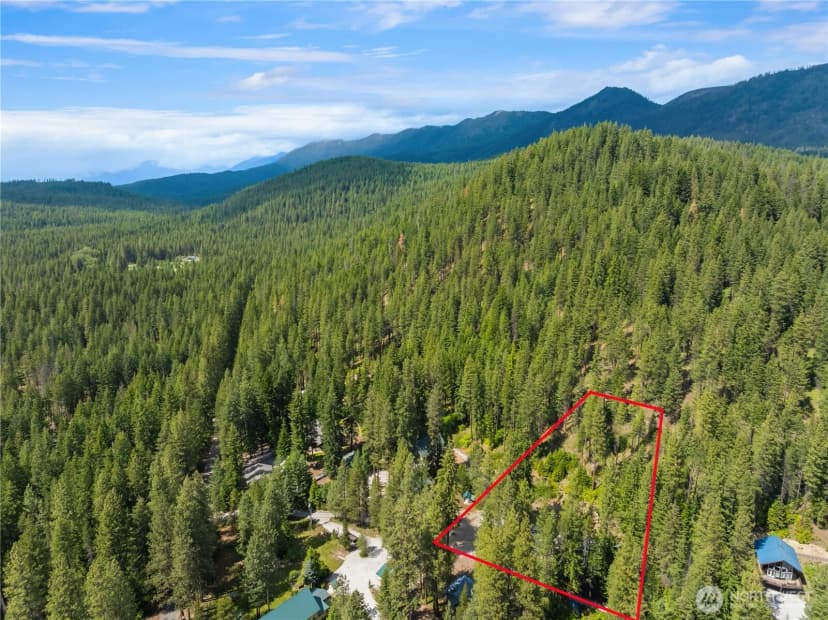 Property photo for 21005 Lower Chiwawa River Road, Leavenworth photo 29
