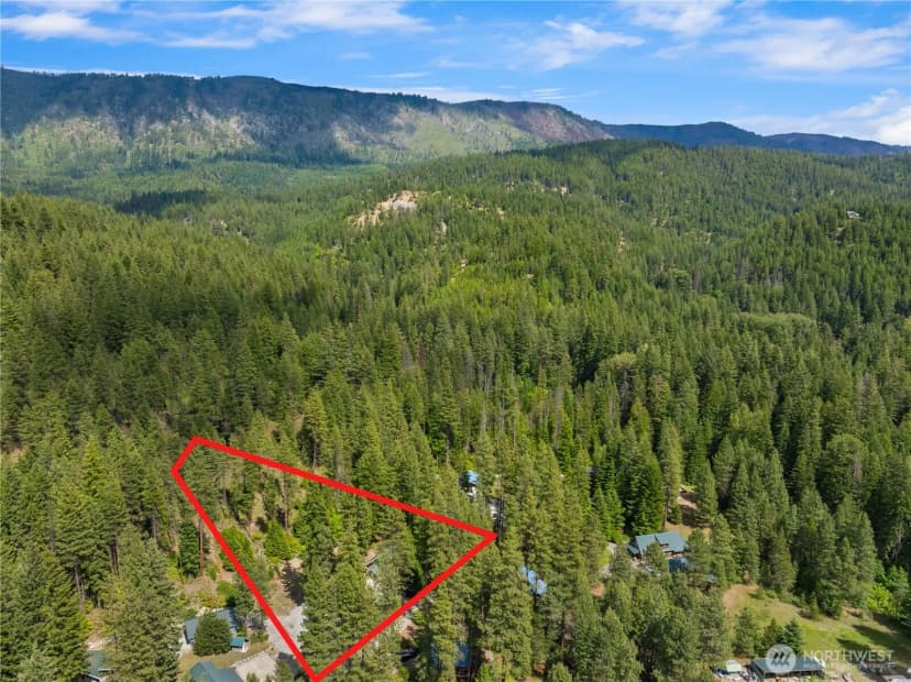 Property photo for 21005 Lower Chiwawa River Road, Leavenworth photo 30