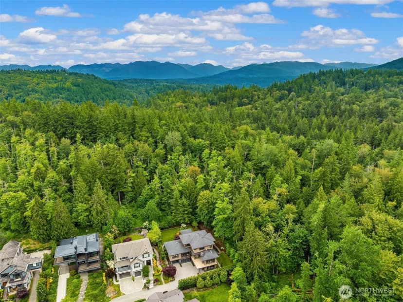 Property photo for 1732 Harrison Way Ne, Issaquah photo 40