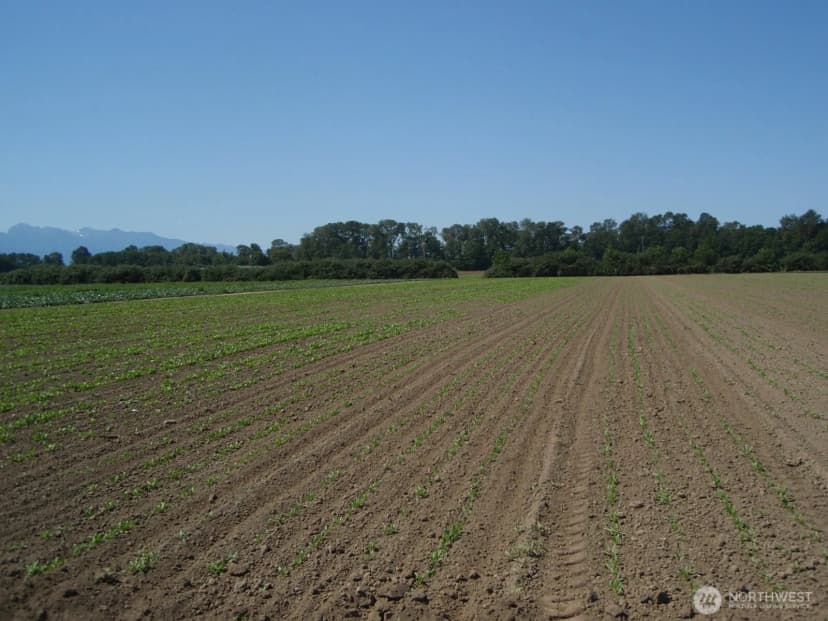Property photo for 1888 Towne Road, Sequim photo 10