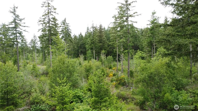 Property photo for 42911 28th Avenue E, Eatonville photo 22