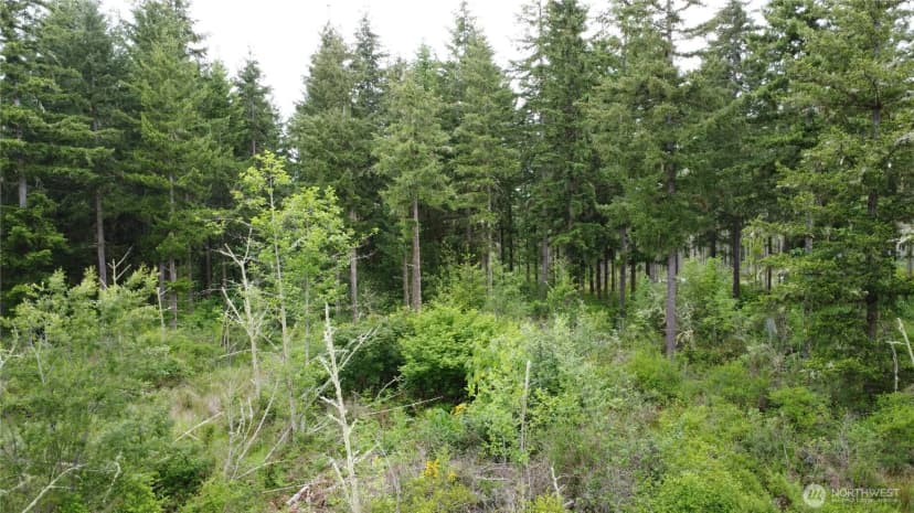 Property photo for 42911 28th Avenue E, Eatonville photo 20
