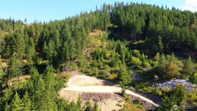 Property photo for 0 Brisky Canyon, Cashmere photo 5