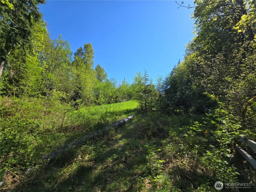 Property photo for 286 Xx Ne 156th Street, Duvall photo 16