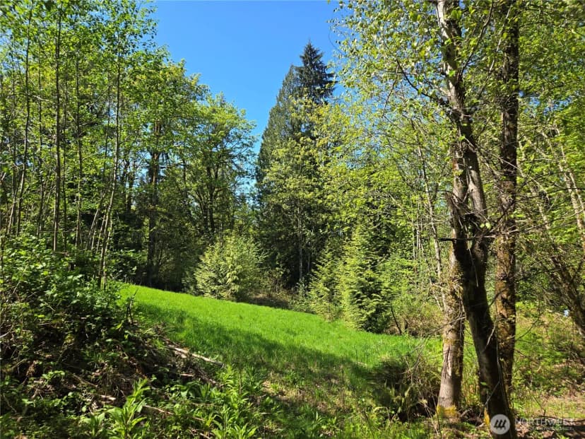 Property photo for 286 Xx Ne 156th Street, Duvall photo 10