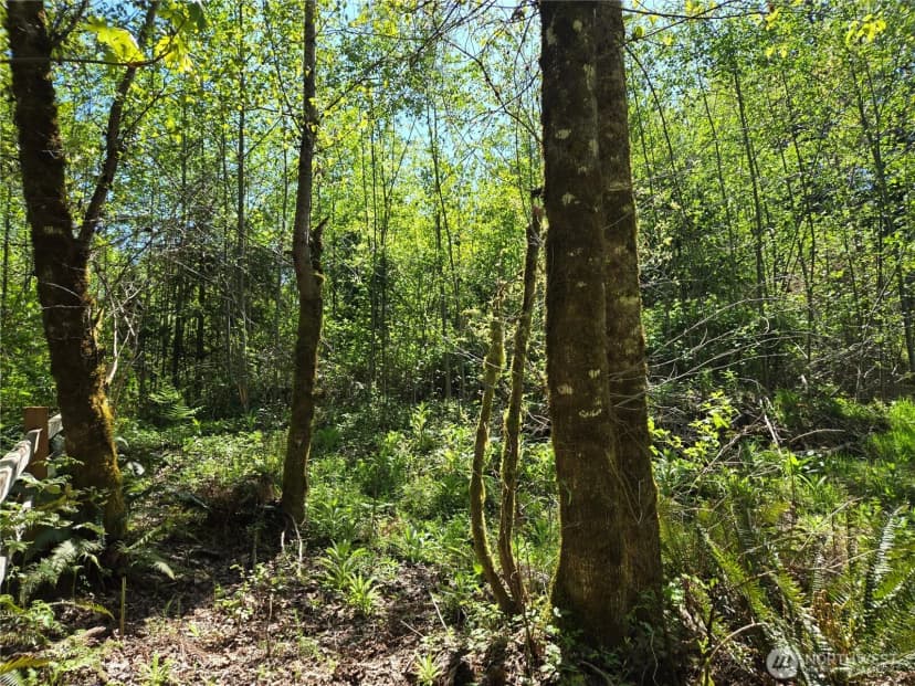 Property photo for 286 Xx Ne 156th Street, Duvall photo 12