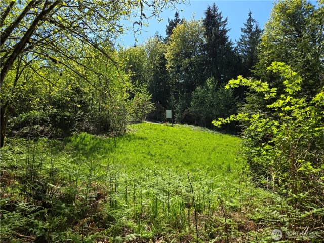Property photo for 286 Xx Ne 156th Street, Duvall photo 5