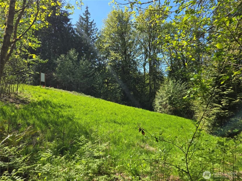 Property photo for 286 Xx Ne 156th Street, Duvall photo 11
