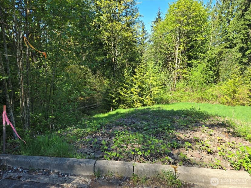 Property photo for 286 Xx Ne 156th Street, Duvall photo 23