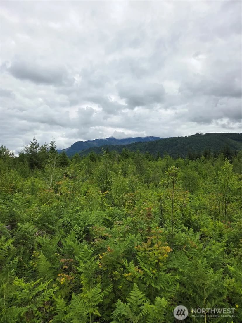 Property photo for 9242 Heady Road, Sumas photo 5