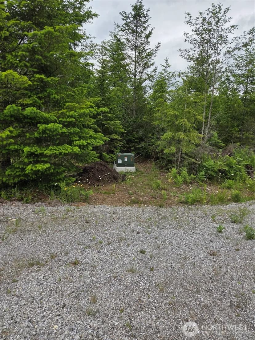 Property photo for 9242 Heady Road, Sumas photo 2