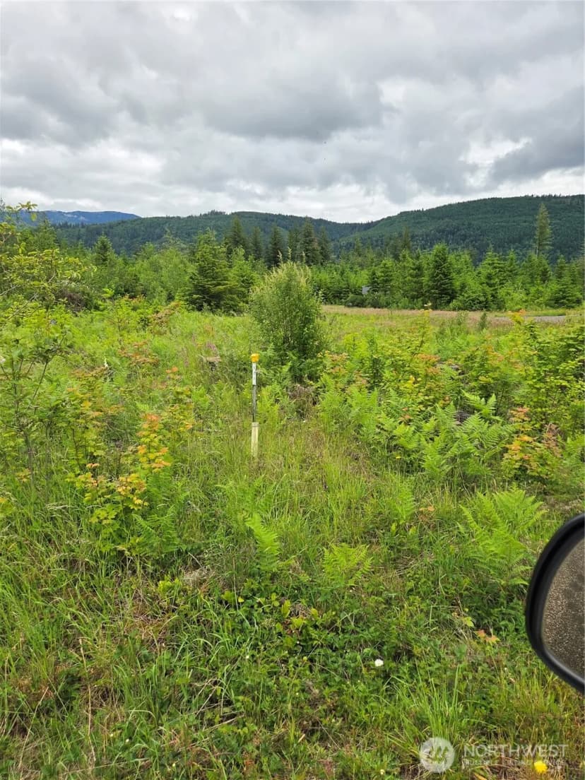 Property photo for 9242 Heady Road, Sumas photo 8