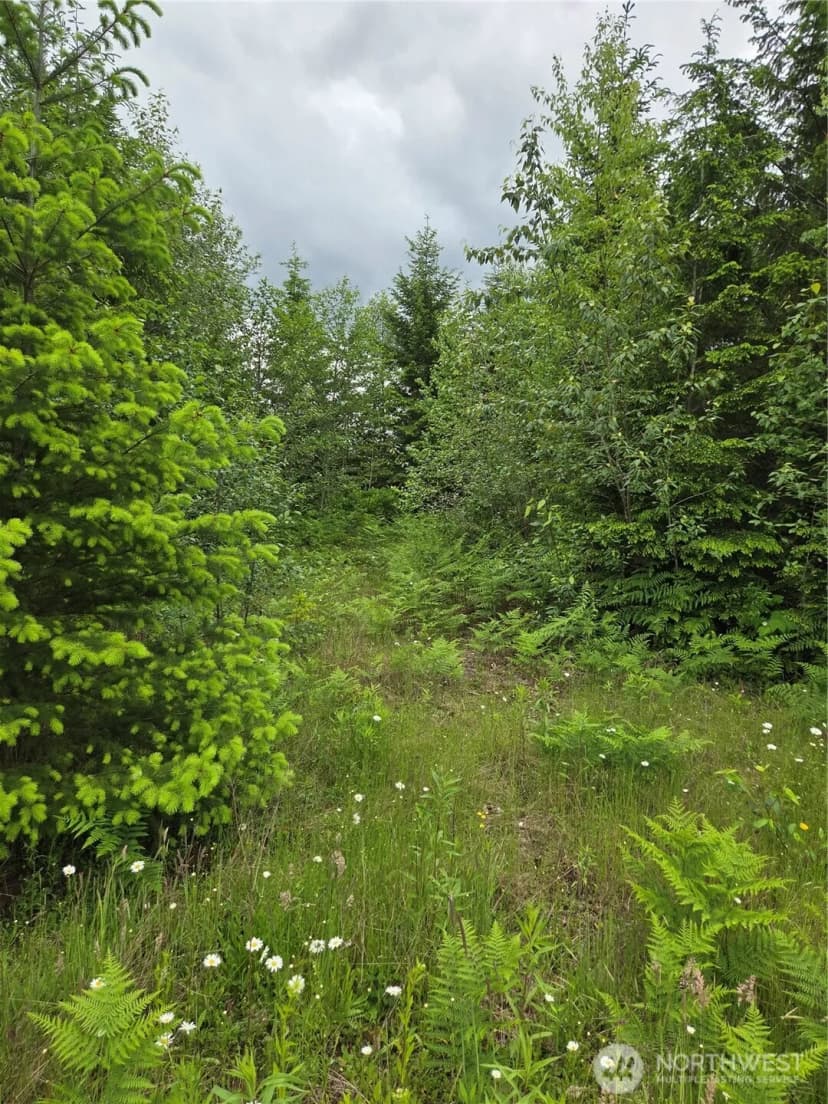 Property photo for 9242 Heady Road, Sumas photo 6