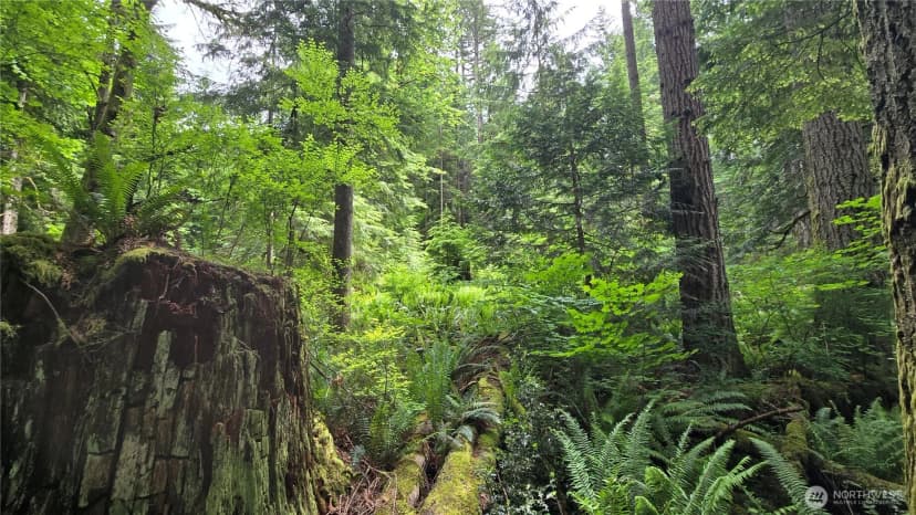 Property photo for 273 Xx Se 150th Street, Issaquah photo 13