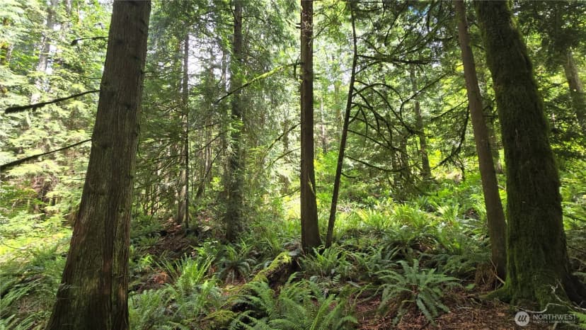 Property photo for 273 Xx Se 150th Street, Issaquah photo 27