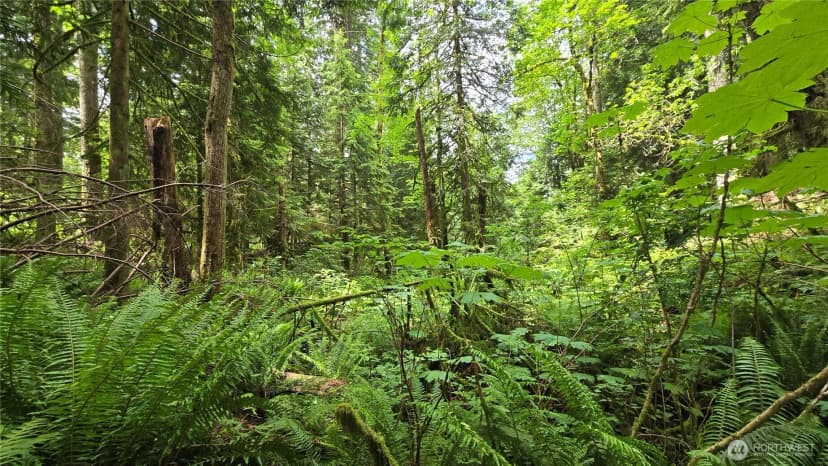 Property photo for 273 Xx Se 150th Street, Issaquah photo 11