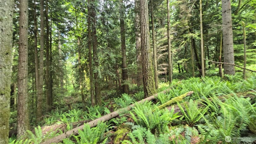 Property photo for 273 Xx Se 150th Street, Issaquah photo 15