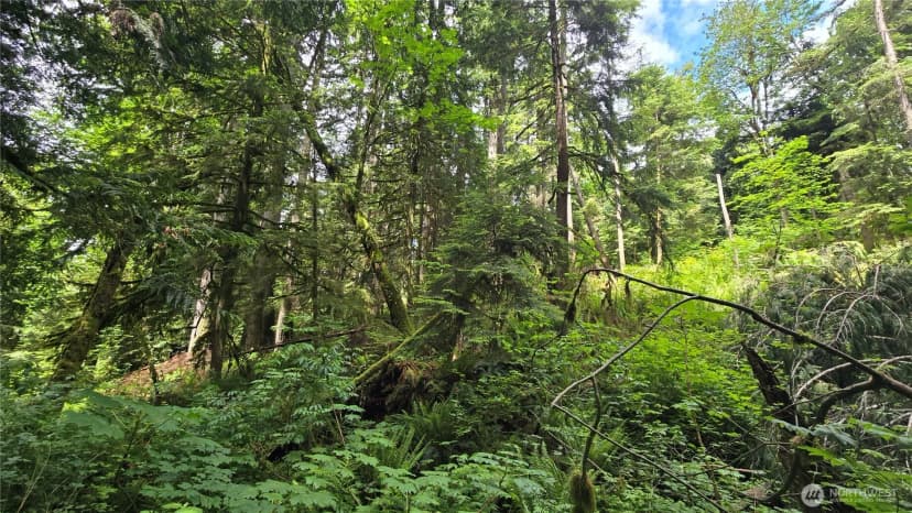 Property photo for 273 Xx Se 150th Street, Issaquah photo 8