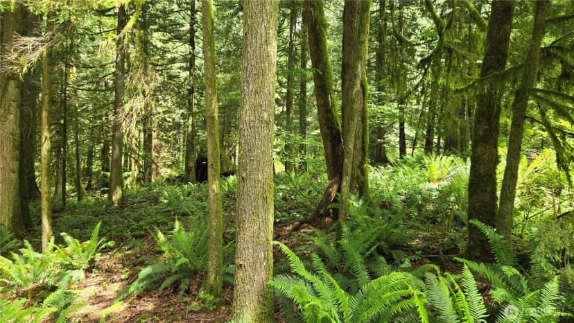 Property photo for 273 Xx Se 150th Street, Issaquah photo 21