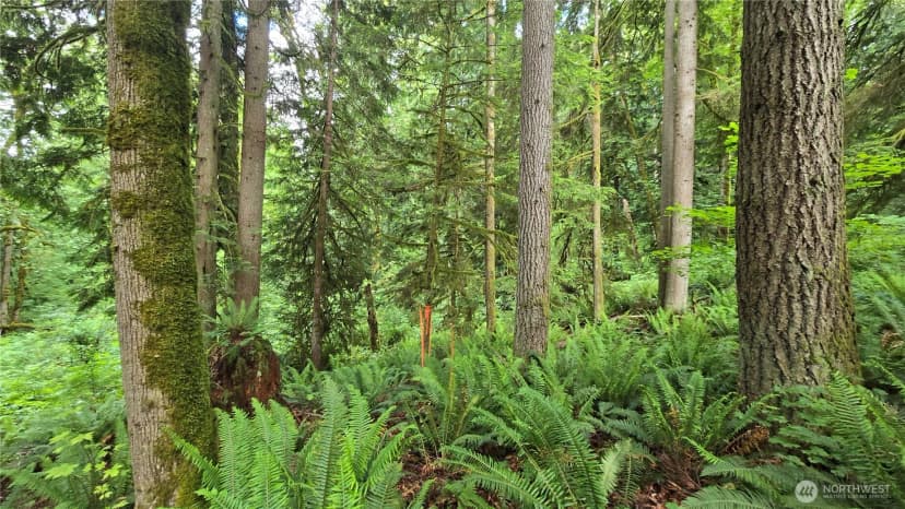 Property photo for 273 Xx Se 150th Street, Issaquah photo 33